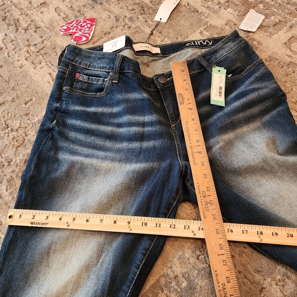 NWT Slink Tasha Boyfriend Curvy Jeans Stitch Fix Size 18W - Picture 9 of 16